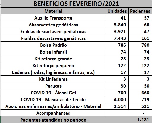 Beneficios Confira a quantidade de pacientes beneficiados pelo INCAvoluntário