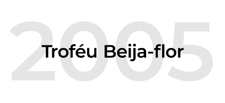 historia-incavoluntario-2005 Nossa História