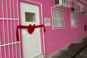 Artes-para-noticias-do-site-2-300x200 casa rosa