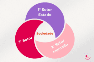 Artes-para-noticias-do-site-9-300x200 ONGs